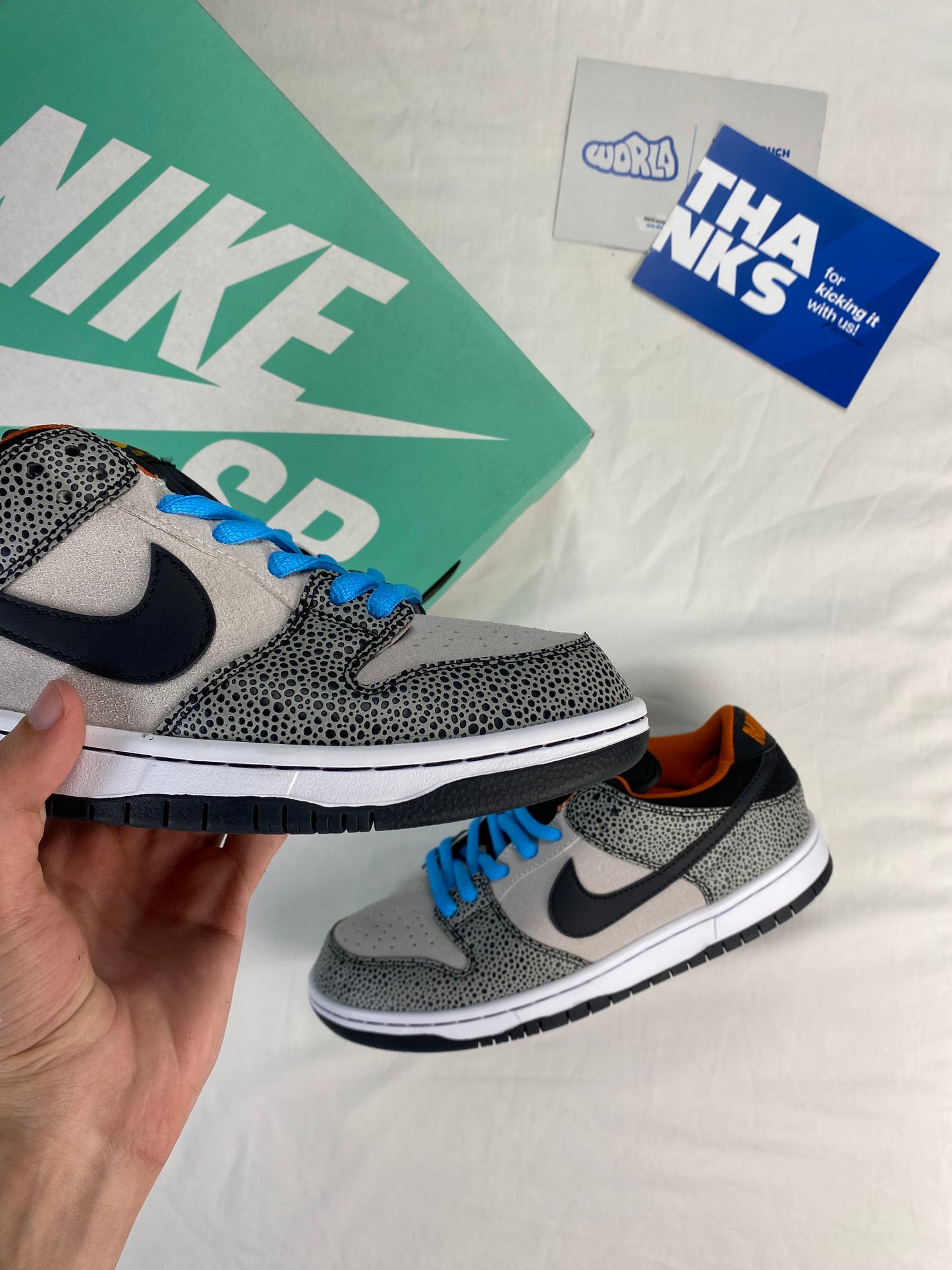 Nike Dunk Low Pro SB 'Electric Pack'
