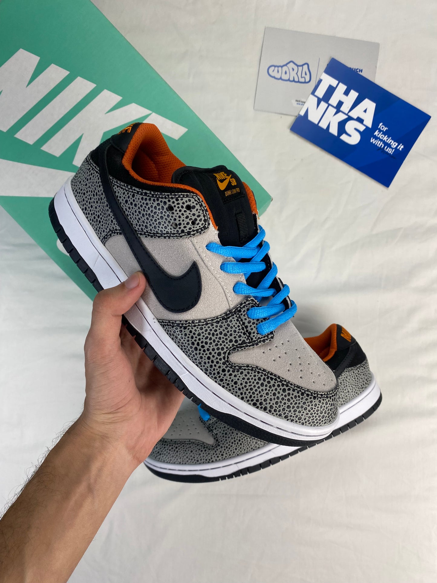 Nike Dunk Low Pro SB 'Electric Pack'