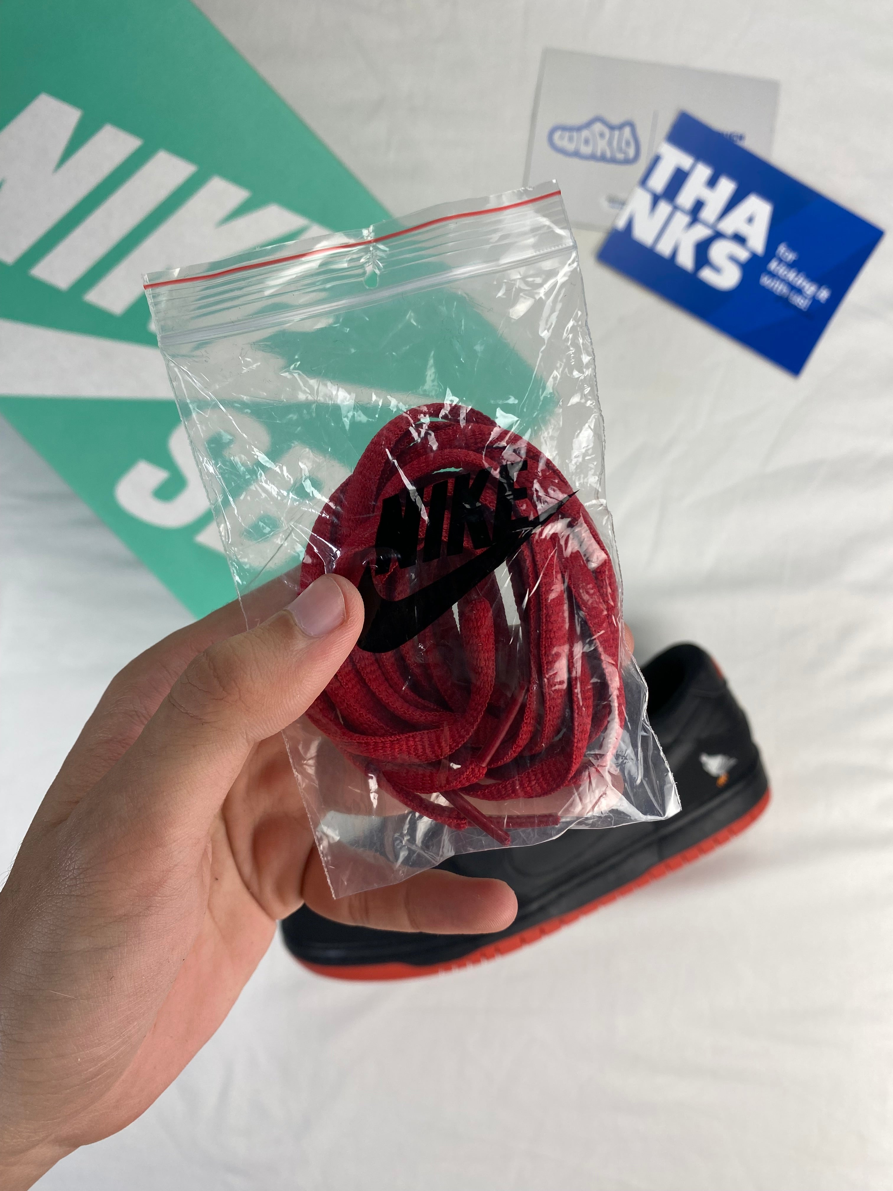 Nike Jeff Staple x Dunk Low Pro SB 'Black Pigeon'