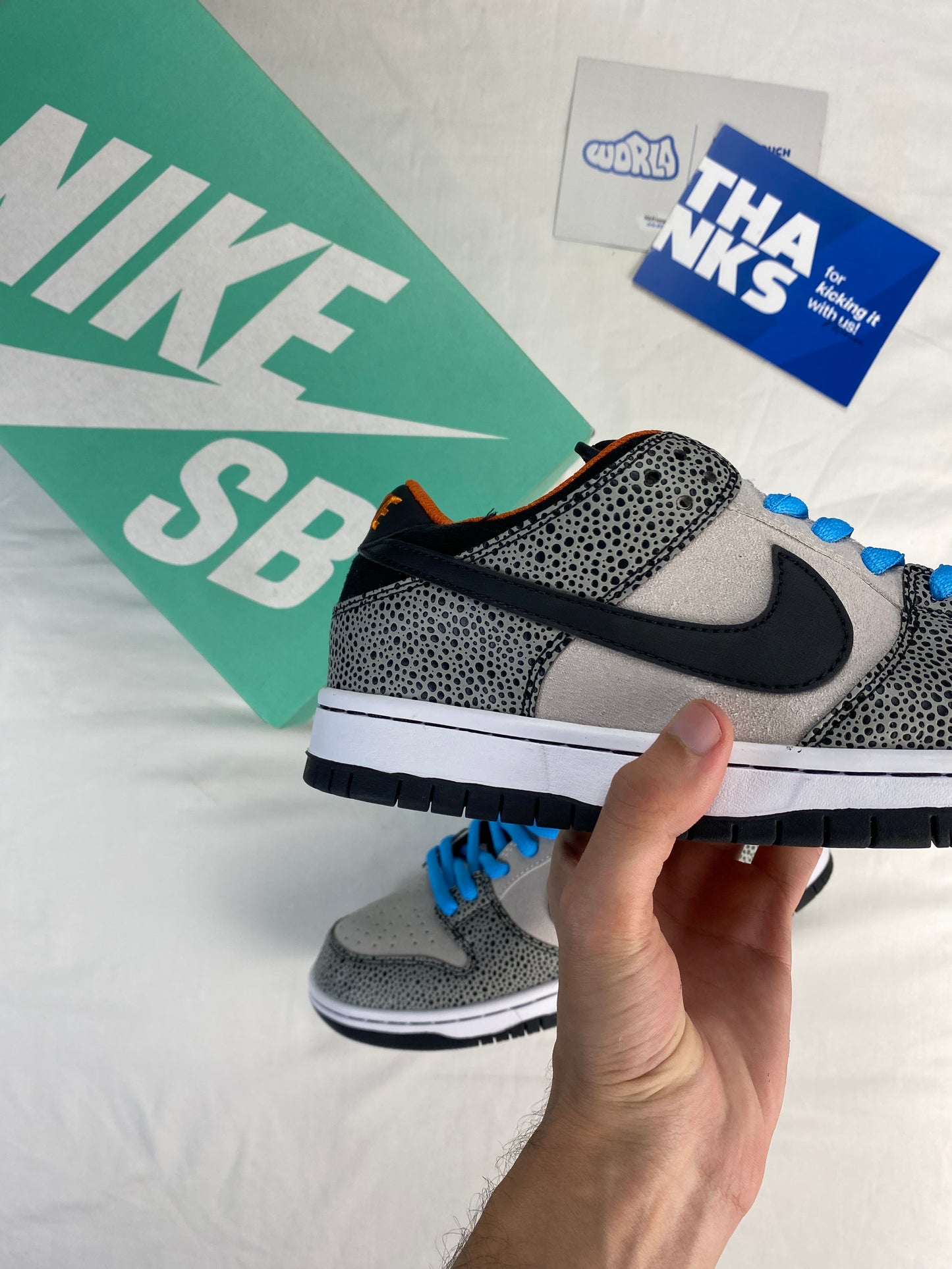 Nike Dunk Low Pro SB 'Electric Pack'
