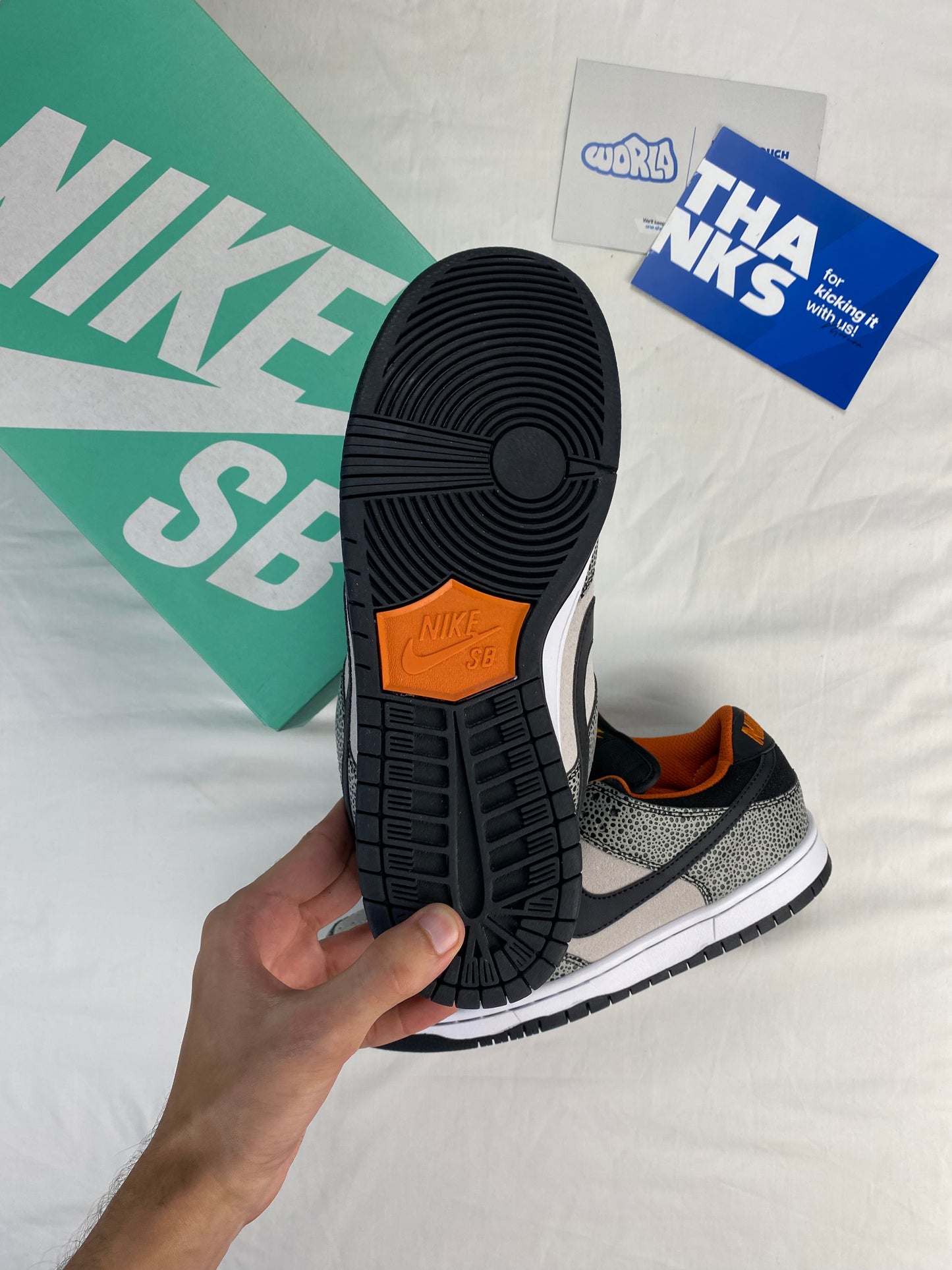 Nike Dunk Low Pro SB 'Electric Pack'